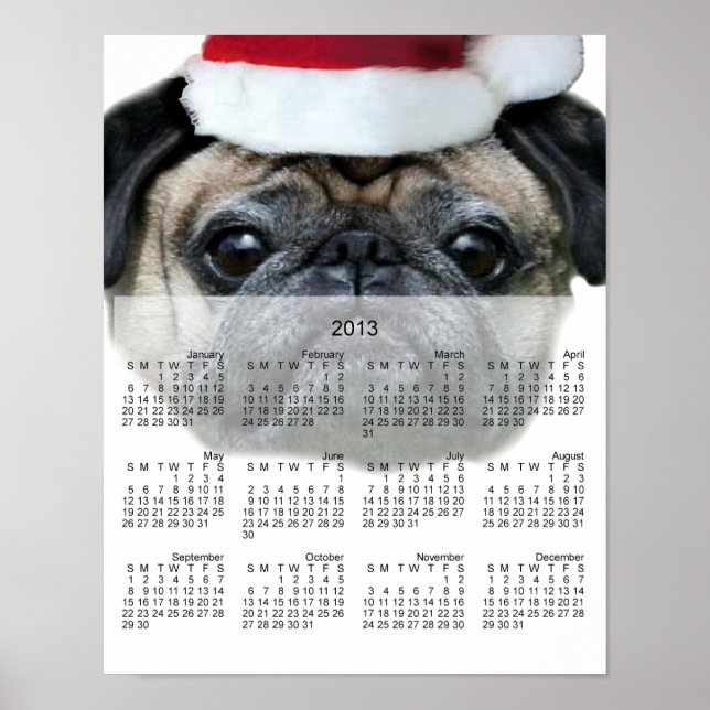 affiche du calendrier 2013 pour chien de carlin de (Devant)