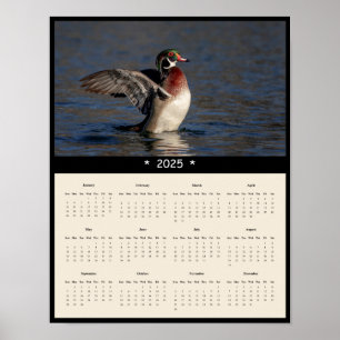 Affiche du calendrier 2025 Wood Duck Drake Wall