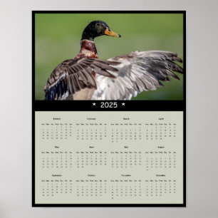 Affiche du calendrier du Mallard Duck 2025
