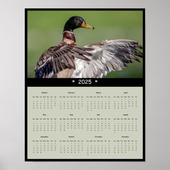 Affiche du calendrier du Mallard Duck 2025 (Devant)