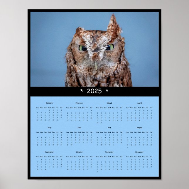 Affiche du calendrier du mur de la Chouette de l'E (Devant)