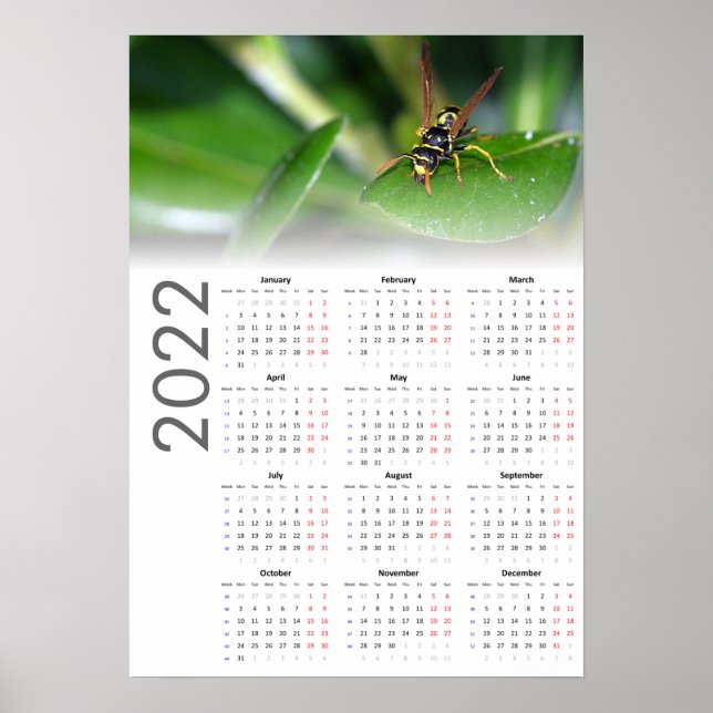 Affiche du calendrier Wasp 2022 - Lundi début (Devant)