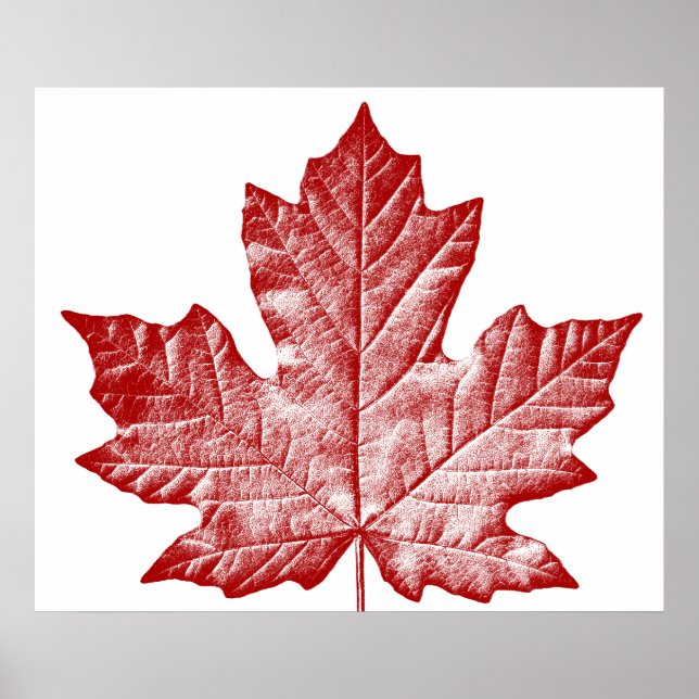 Affiche du Canada Affiche de la feuille d'érable d (Devant)