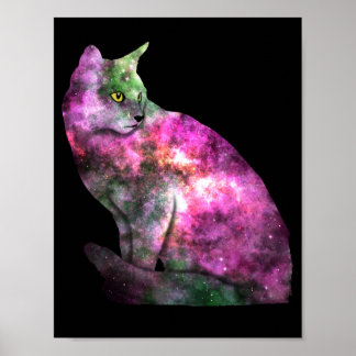 Affiche du chat spatial