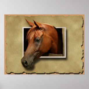 affiche du cheval 3D
