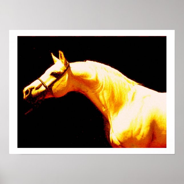 Affiche du cheval Imprimer (Devant)