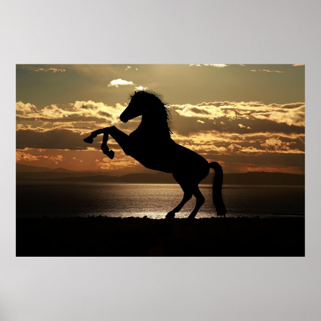 affiche du coucher de soleil (Devant)