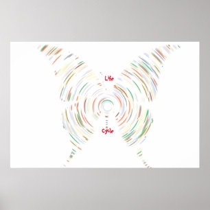 Affiche du cycle de vie