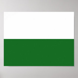 Affiche du drapeau de la Saxe