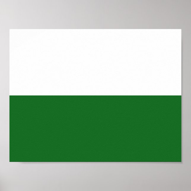 Affiche du drapeau de la Saxe (Devant)