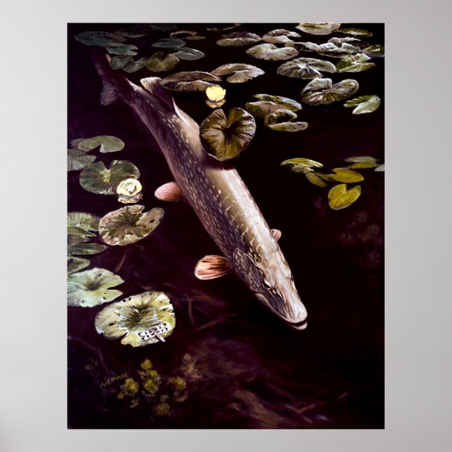 affiche du grand brochet (Devant)
