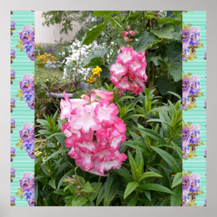 Affiche du jardin de photos florales de fleurs ros