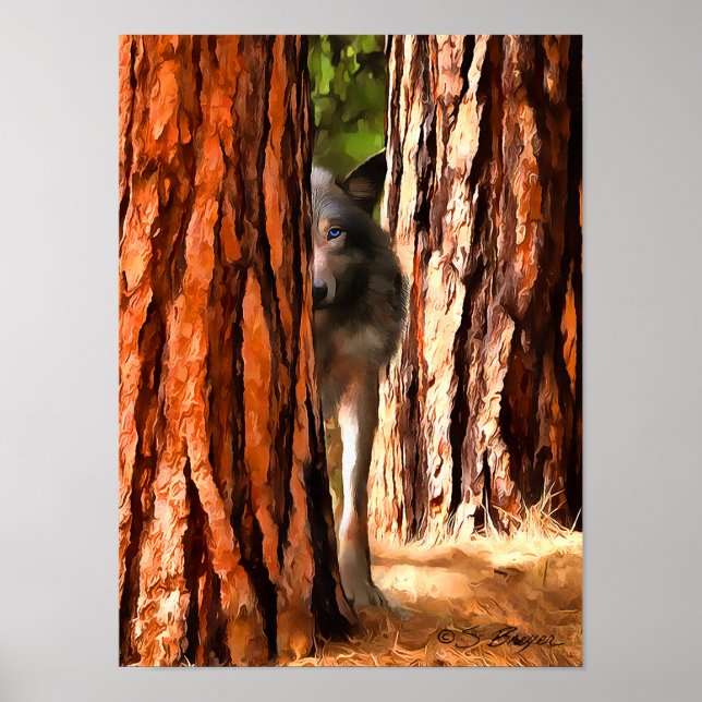 Affiche du loup (Devant)