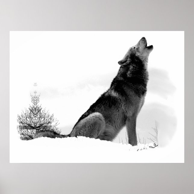 Affiche du loup de bois de l'Alaska (Devant)