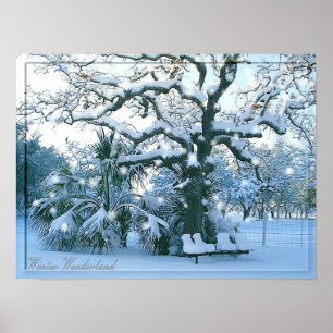 affiche du pays des merveilles d'hiver