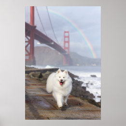 Affiche du pont arc-en-ciel CRB