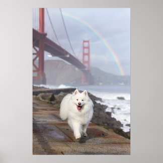 Affiche du pont arc-en-ciel CRB