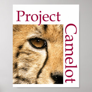 Affiche du projet CAMELOT