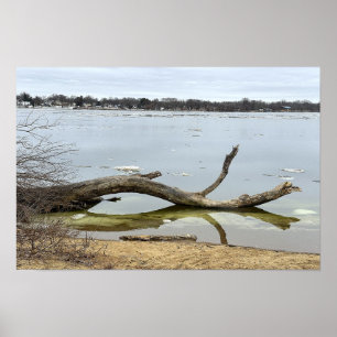 Affiche du reflet d'arbre dans la rivière