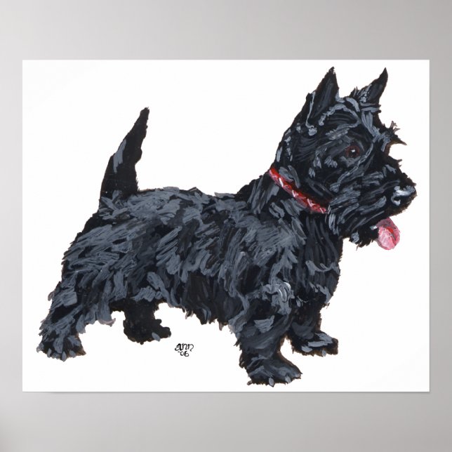 Affiche écossaise Terrier (Devant)