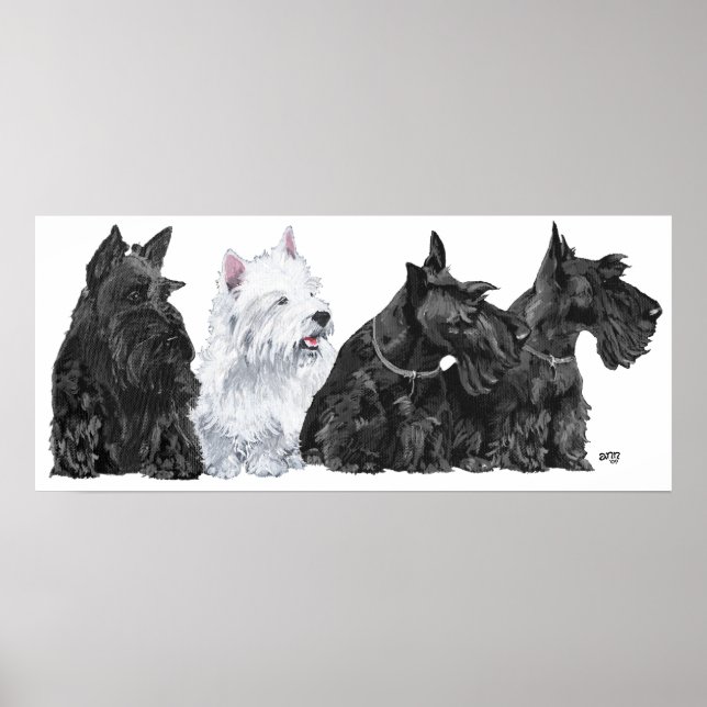 Affiche écossaise Terrier (Devant)