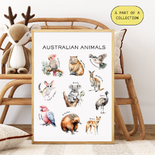 Affiche éducative sur les animaux australiens