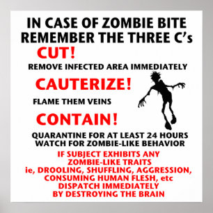 Affiche "EN CAS de ZOMBI de MORSURE"