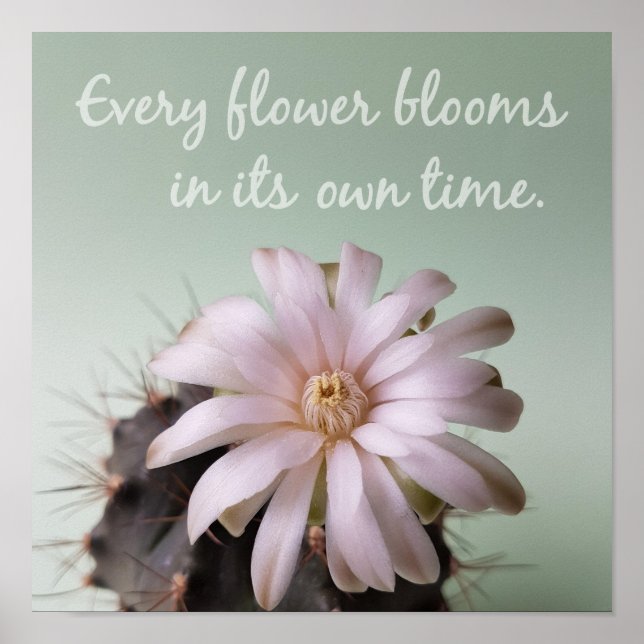 Affiche Every Flower Blooms In Its Own Time (Devant)
