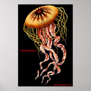 Affiche Féline