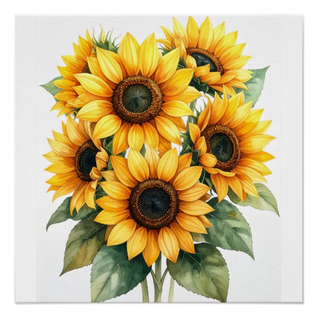 Affiche Fleur de Tournesol Doré (Devant)