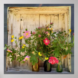 Affiche fleur sauvage