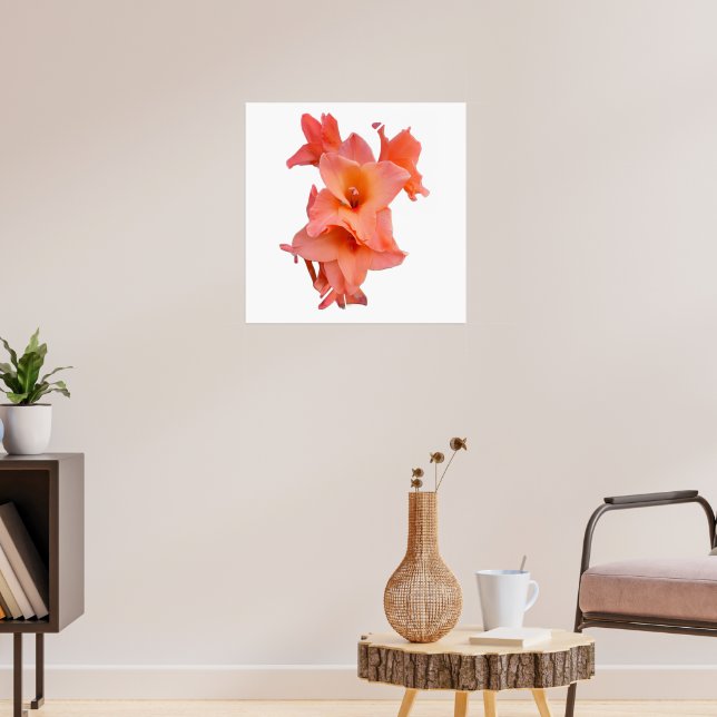 Affiche florale Gladiolus orange  (Salon 3)