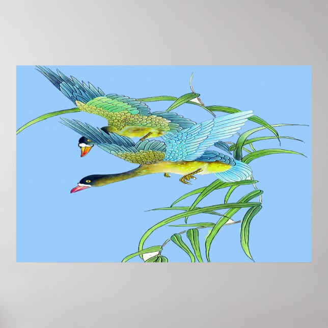 Affiche Flying Ducks Dessin 2 (Devant)