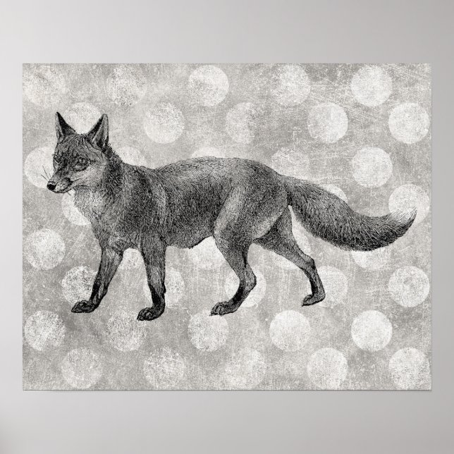 Affiche Fox - Illustration Vintage Imprimer (Devant)