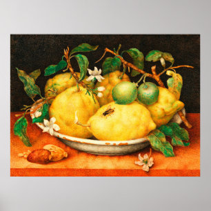 AFFICHE FRUITS DE SAISON CITRONS ET FLEURS BLANCHE