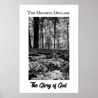 Affiche Gloire de Dieu Forêt Noir et Blanc