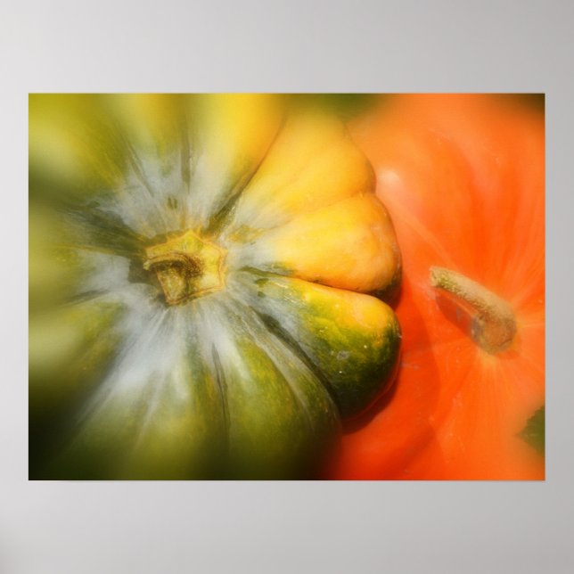 Affiche Gourds d'automne (Devant)