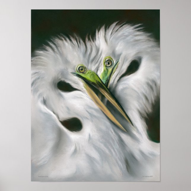 Affiche Great Egrets in Love (Devant)