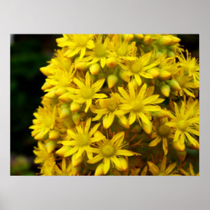 Affiche HappY YeLLoW