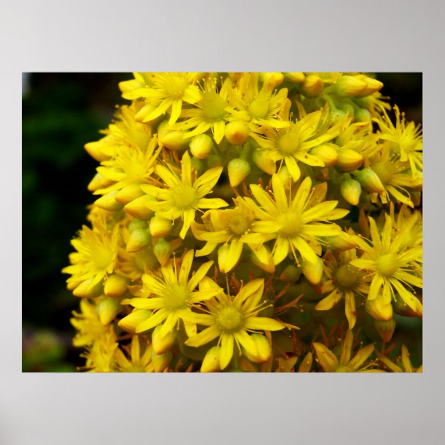 Affiche HappY YeLLoW (Devant)