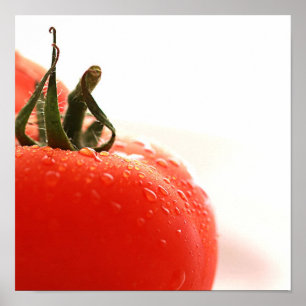 Affiche haute étroite de tomate