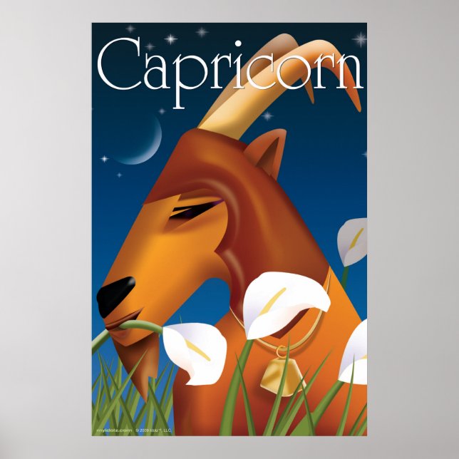 Affiche Idolz Capricorn (Devant)