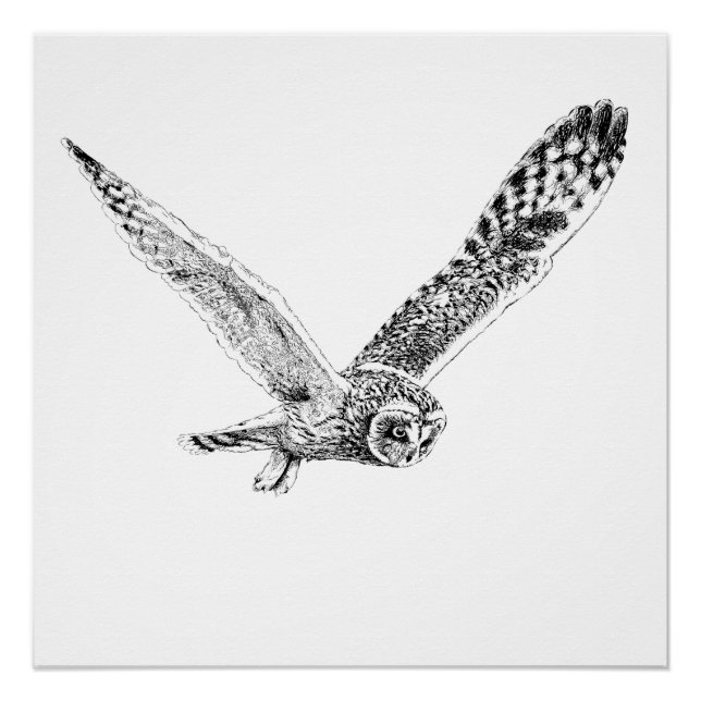 Affiche illustrant le hibou volant (Devant)
