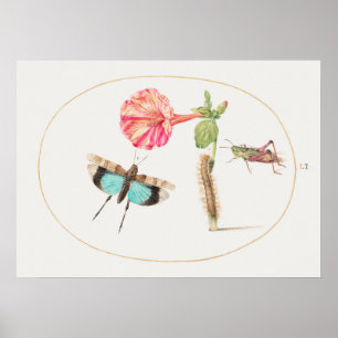 Affiche illustrant l'insecte vintage