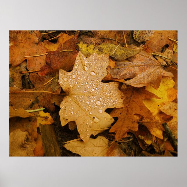 Affiche Imaginaire d'automne (30) (Devant)