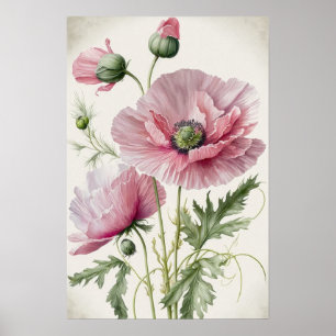Affiche Impression Artistique Fleurs de Pavot Rose