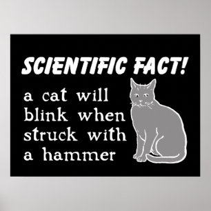 Affiche imprimée drôle Chat Marteau Humour
