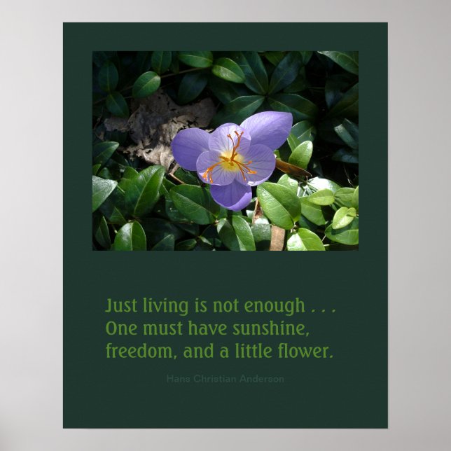 Affiche inspirante du jardin de Crocus (Devant)