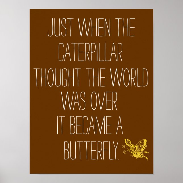 Affiche Inspirationnelle des citations de papillon (Devant)