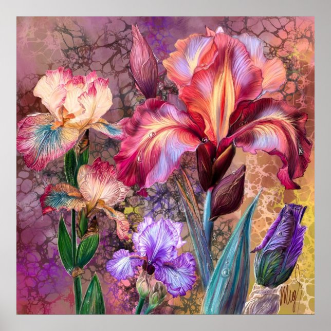 Affiche Iris Colorés (Devant)